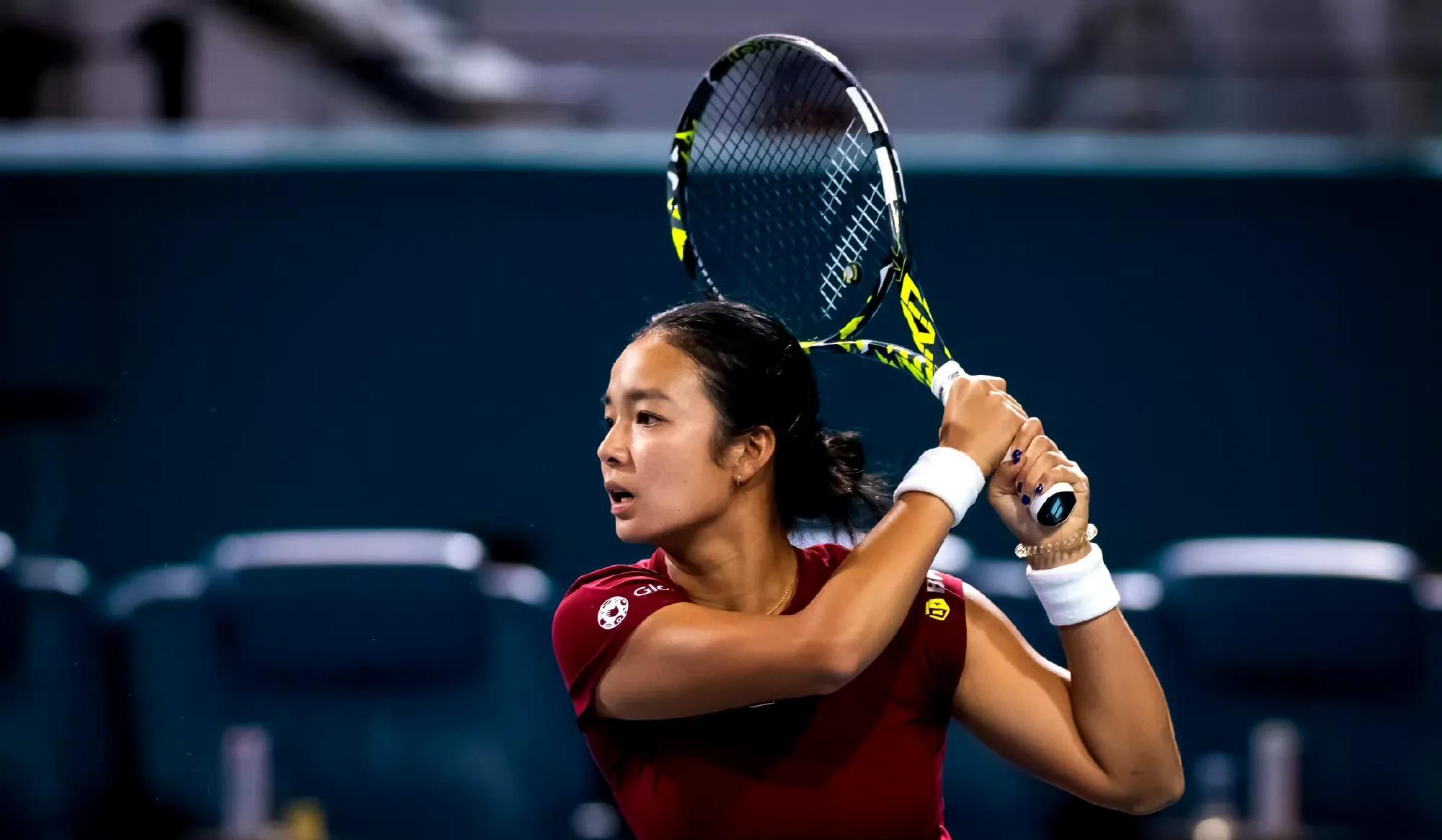 包含网坛女王新生代：18岁天才少女横扫赛场的词条