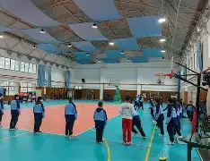 开云体育官网-退役运动员进校园：千名冠军当体育辅导员